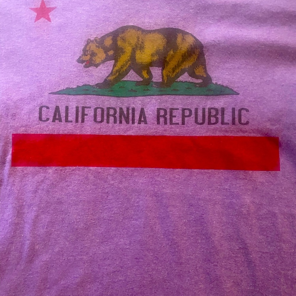 Urban outfitters California republic t-shirt